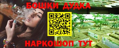 прущие грибы Ставрополь