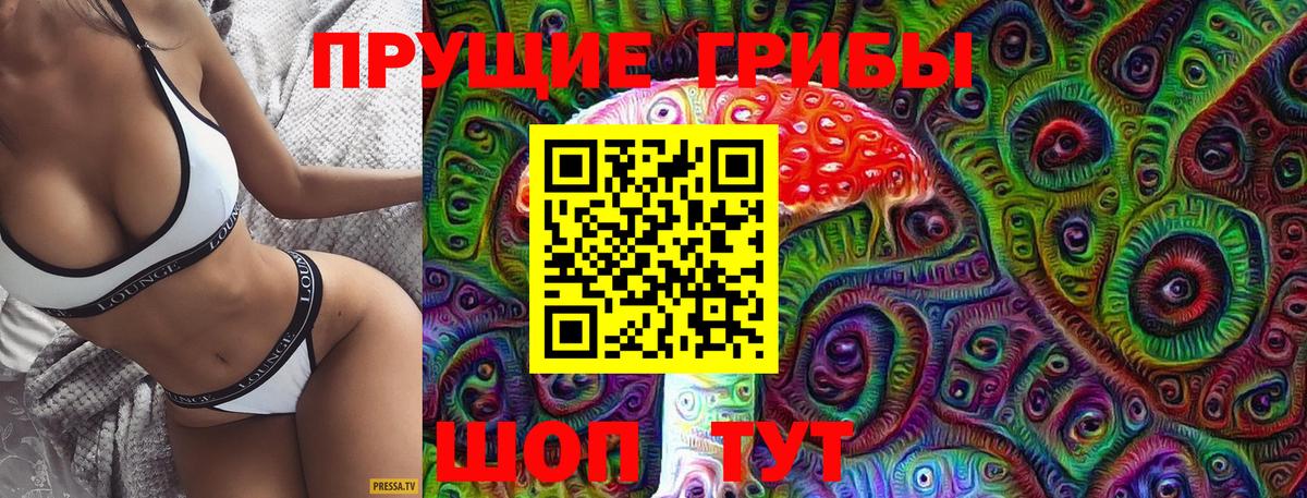 Псилоцибиновые грибы мицелий  Вход с VPN  Псилоцибиновые грибы Psilocybine cubensis  купить наркоту  Ногинск 
