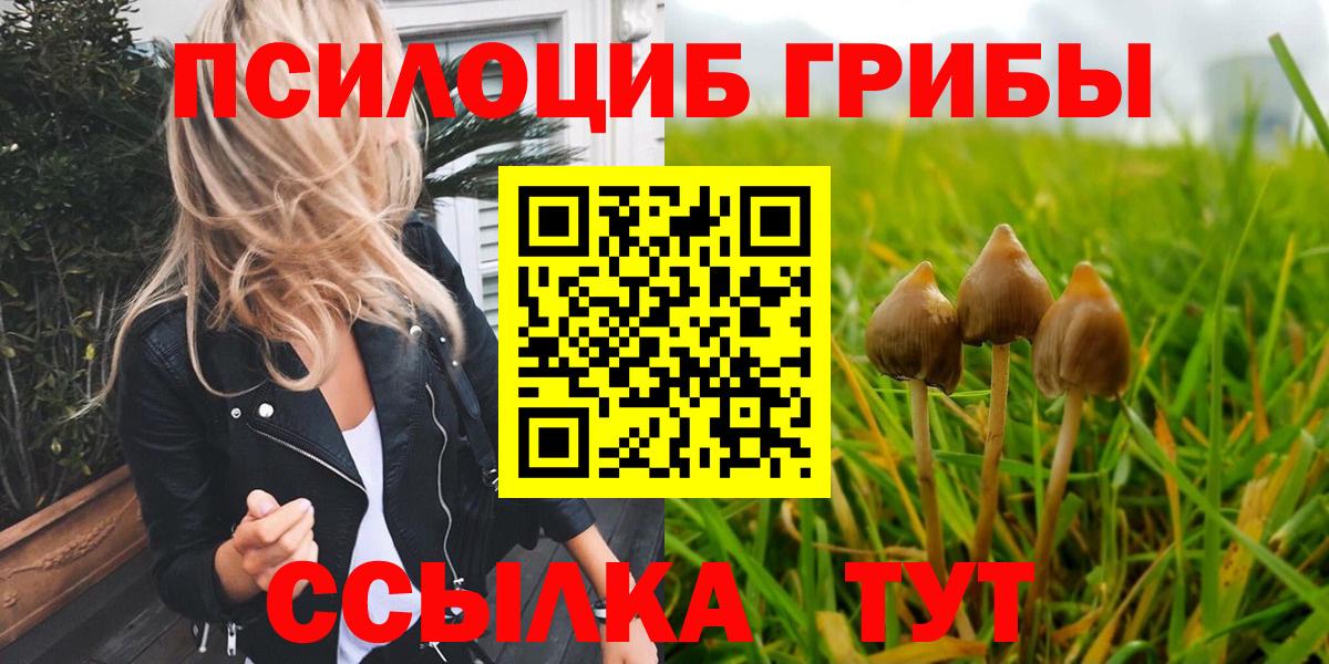 Галлюциногенные грибы Cubensis Ногинск